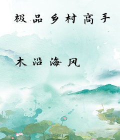 极品乡村高手