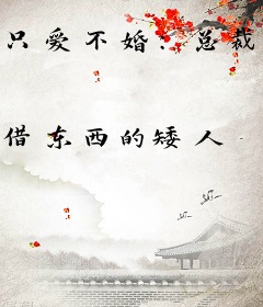 只爱不婚：总裁请上车
