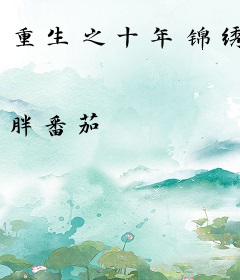 重生之十年锦绣