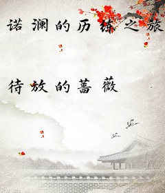 诺澜的历练之旅