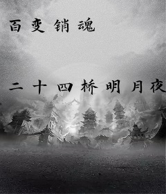 百变销魂