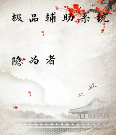 极品辅助系统