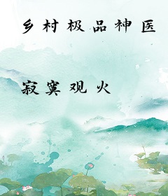 乡村极品神医