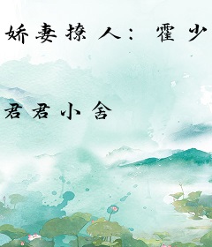 娇妻撩人：霍少轻点爱