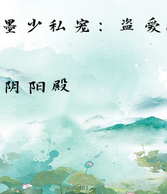 墨少私宠：盗爱1001夜
