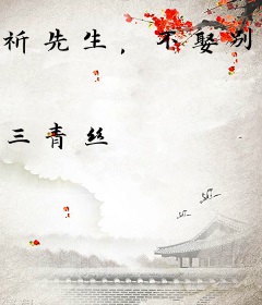 祈先生，不娶别撩