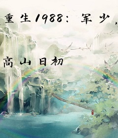 重生1988：军少，我不嫁！