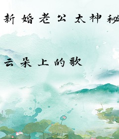 新婚老公太神秘