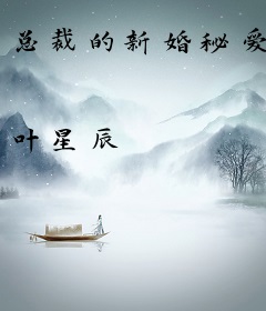 总裁的新婚秘爱