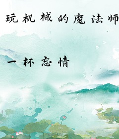 玩机械的魔法师