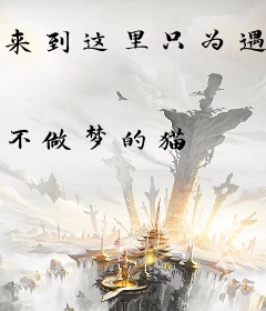 来到这里只为遇见你