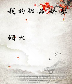 我的极品娇妻