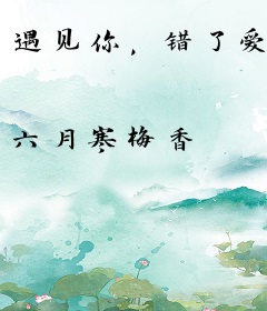 遇见你，错了爱