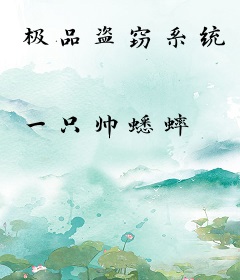 极品盗窃系统