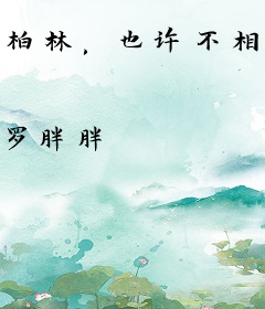 柏林，也许不相逢