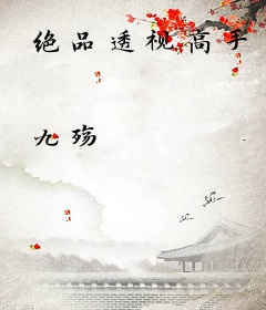 绝品透视高手