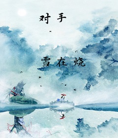 对手