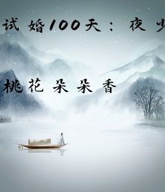 试婚100天：夜少，宠上瘾
