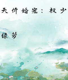 天价婚宠：权少赖上瘾