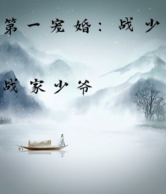第一宠婚：战少，我不要！