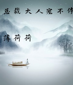 总裁大人宠不停