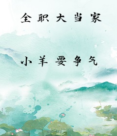 全职大当家