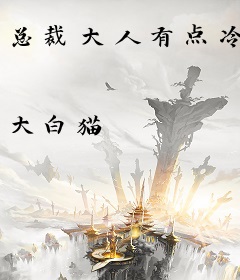 总裁大人有点冷