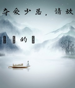 夺爱少总，请放手！