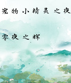 宠物小精灵之夜铭