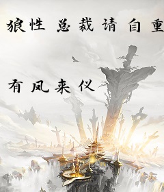 狼性总裁请自重