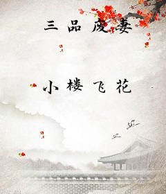 三品废妻
