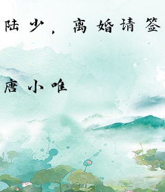 陆少，离婚请签字苏黎陆宴初