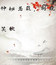 神秘总裁，别玩了
