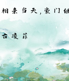 相亲当天,豪门继承人拉着我领证海彤