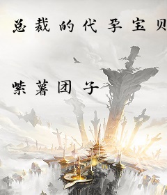 总裁的代孕宝贝