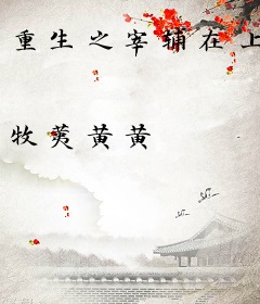 重生之宰辅在上