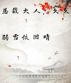 总裁大人，久久追妻路