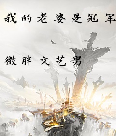 我的老婆是冠军