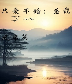 只爱不婚：总裁，求拥抱