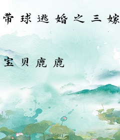 带球逃婚之三嫁王妃