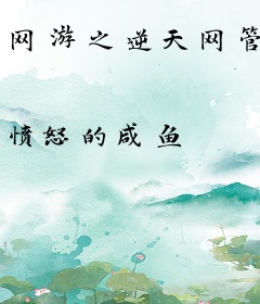 网游之逆天网管