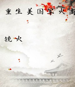 重生美国军火商