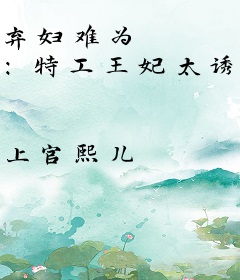 弃妇难为 ：特工王妃太诱人