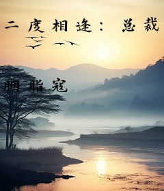 二度相逢：总裁的霸爱