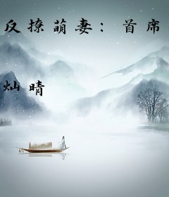 反撩萌妻：首席花样多
