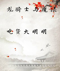 龙骑士与魔法