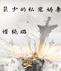 裴少的私宠娇妻