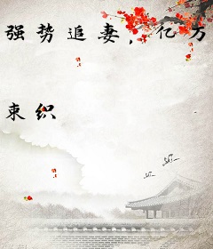 强势追妻，亿万封少请矜持