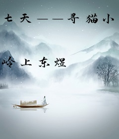 七天——寻猫小记
