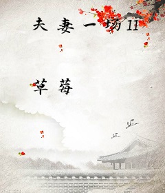 夫妻一场II